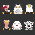 Set of cute animal and bird logos. Vulture, owl, eagle, ostrich, hare and white leopard are sitting on a dark background.